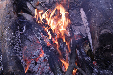 Similar image 21106349