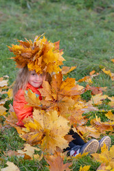 Similar image 21102776