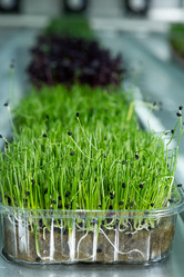 Similar image 21090731