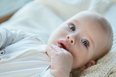 Similar image 21101461