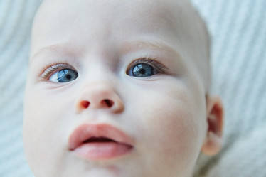 Similar image 21101467