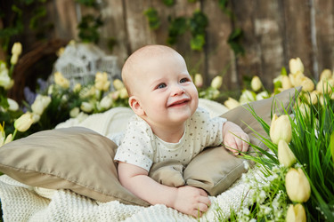 Similar image 21101469