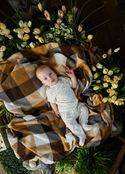 Similar image 21101473