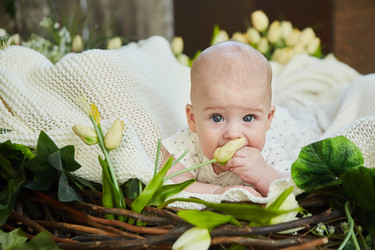 Similar image 21101476