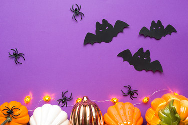 Similar image 21092237