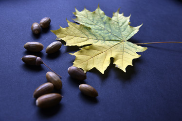 Similar image 21092010