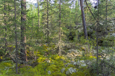 Similar image 21091424