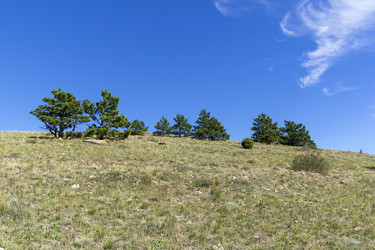 Similar image 21091429