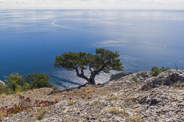 Similar image 21091434