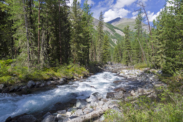 Similar image 21091436