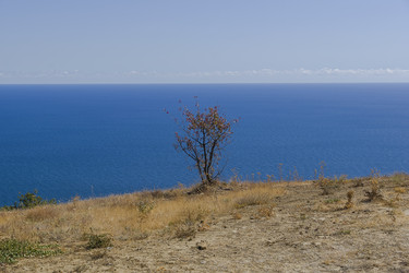 Similar image 21091439