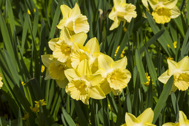 Similar image 21091442