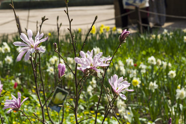 Similar image 21091445