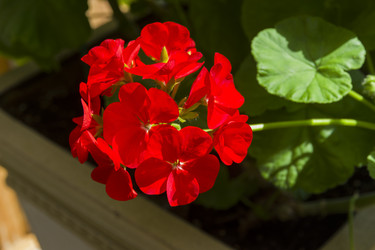 Similar image 21091446