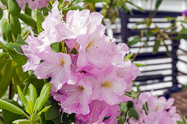 Similar image 21091447