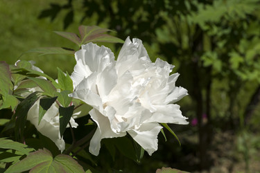 Similar image 21091449