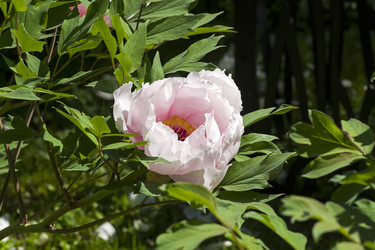 Similar image 21091450