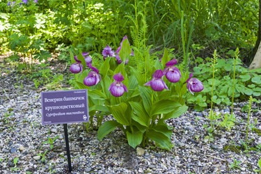 Similar image 21091451