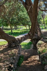 Similar image 21092045