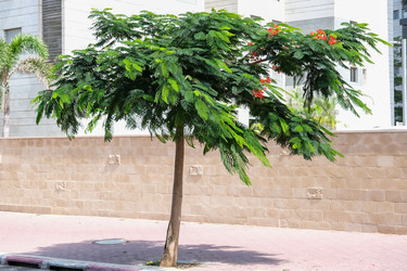 Similar image 21092047