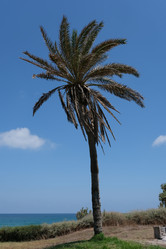 Similar image 21092050