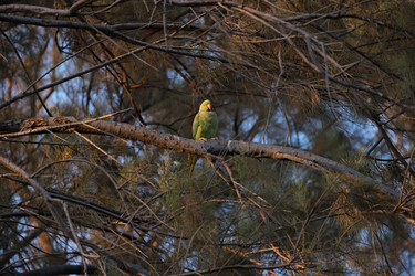 Similar image 21092051