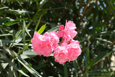 Similar image 21092053