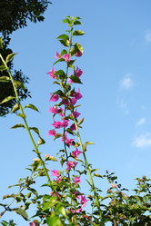 Similar image 21092055