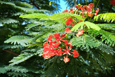 Similar image 21092056