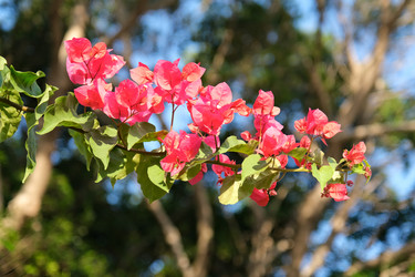 Similar image 21092057