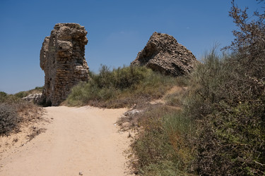 Similar image 21092250