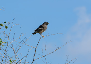 Similar image 21092254