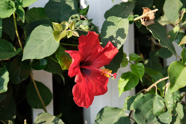 Similar image 21092255