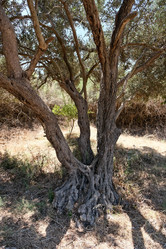 Similar image 21092260