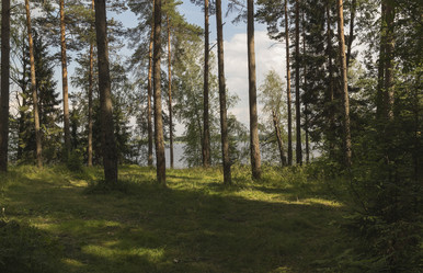 Similar image 21092060