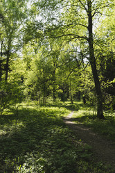 Similar image 21092062