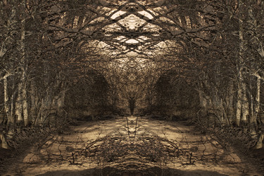 Similar image 21092065