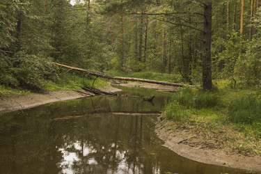 Similar image 21092073