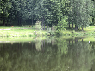 Similar image 21091880