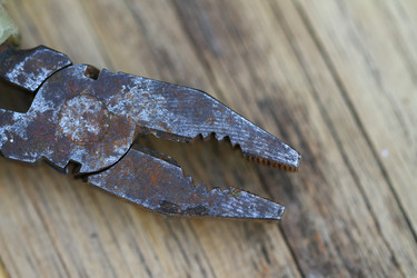 Similar image 21101504