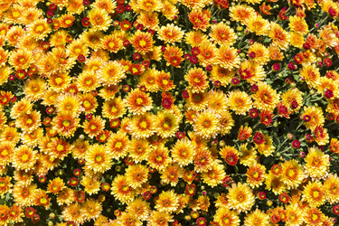 Similar image 21091794