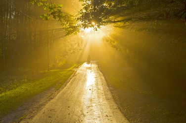 Similar image 21091822