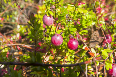 Similar image 21091824