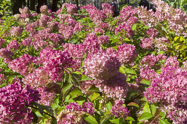 Similar image 21091827