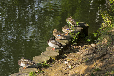 Similar image 21091829