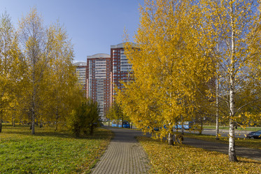 Similar image 21091832