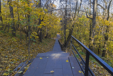 Similar image 21091833