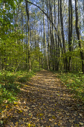 Similar image 21091834