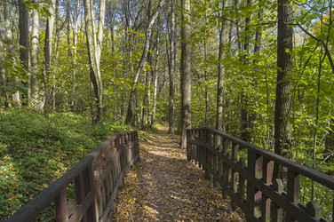 Similar image 21091835