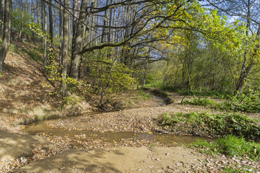 Similar image 21091837